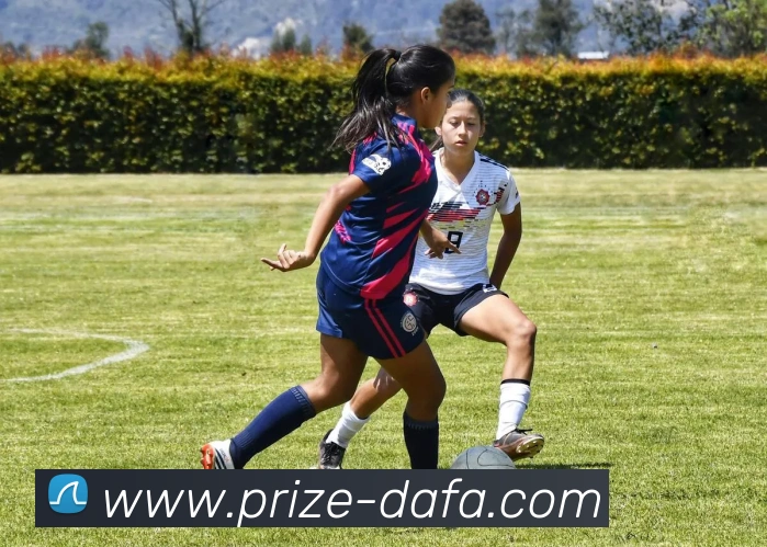 大发官网平台生态图