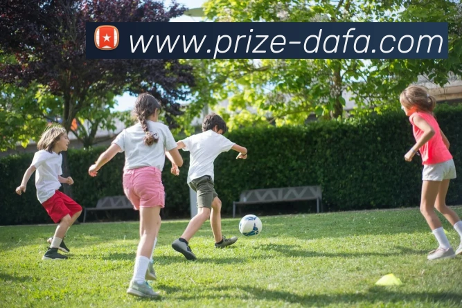 辅助工具 辅助工具